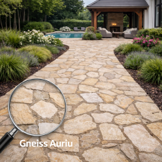 Piatra naturala gneiss auriu forme mici