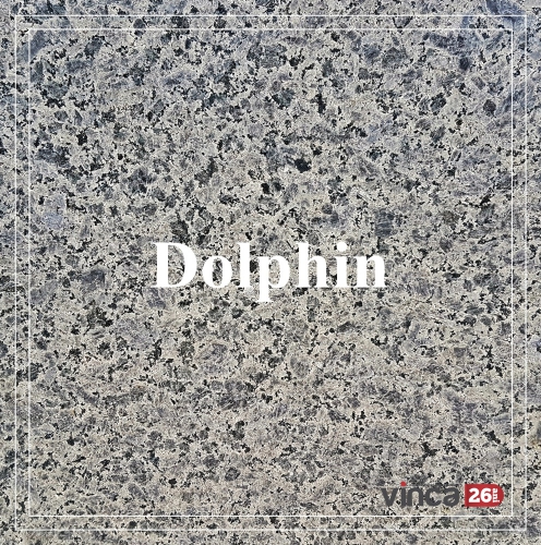 Placa gatit granit- Dolphin fiamat