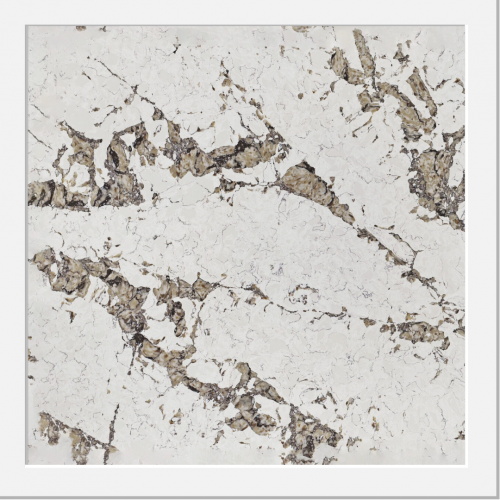 Cuart Patagonia Martinica