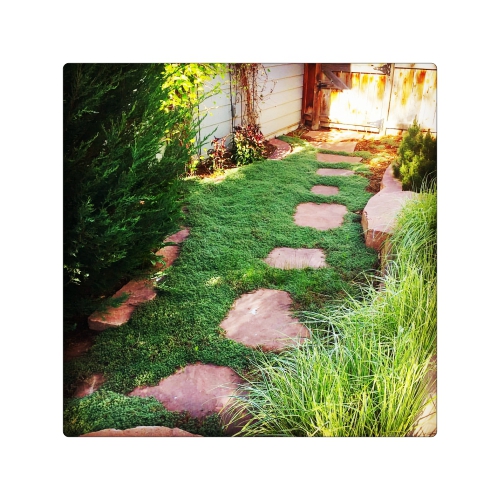 Pasi japonezi piatra naturala sandstone rosu