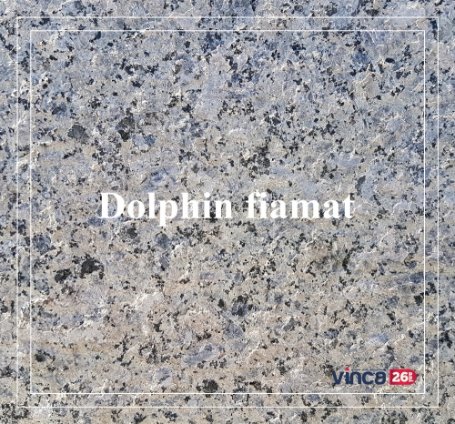 Placa gatit granit - Dolphin fiamat