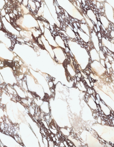 Placare Semineu Callacatta Viola