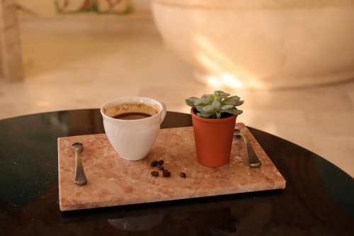 Tava cu manere Marmura Bej Nova Roz 30*20*2 cm