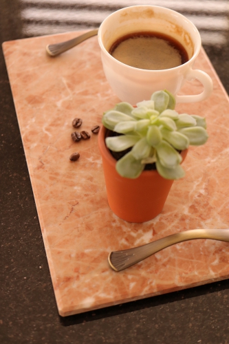 Tava cu manere Marmura Bej Nova Roz 30*20*2 cm