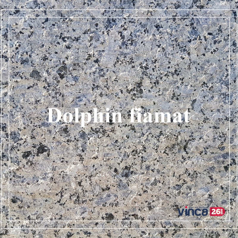 Placa gatit granit - Dolphin fiamat